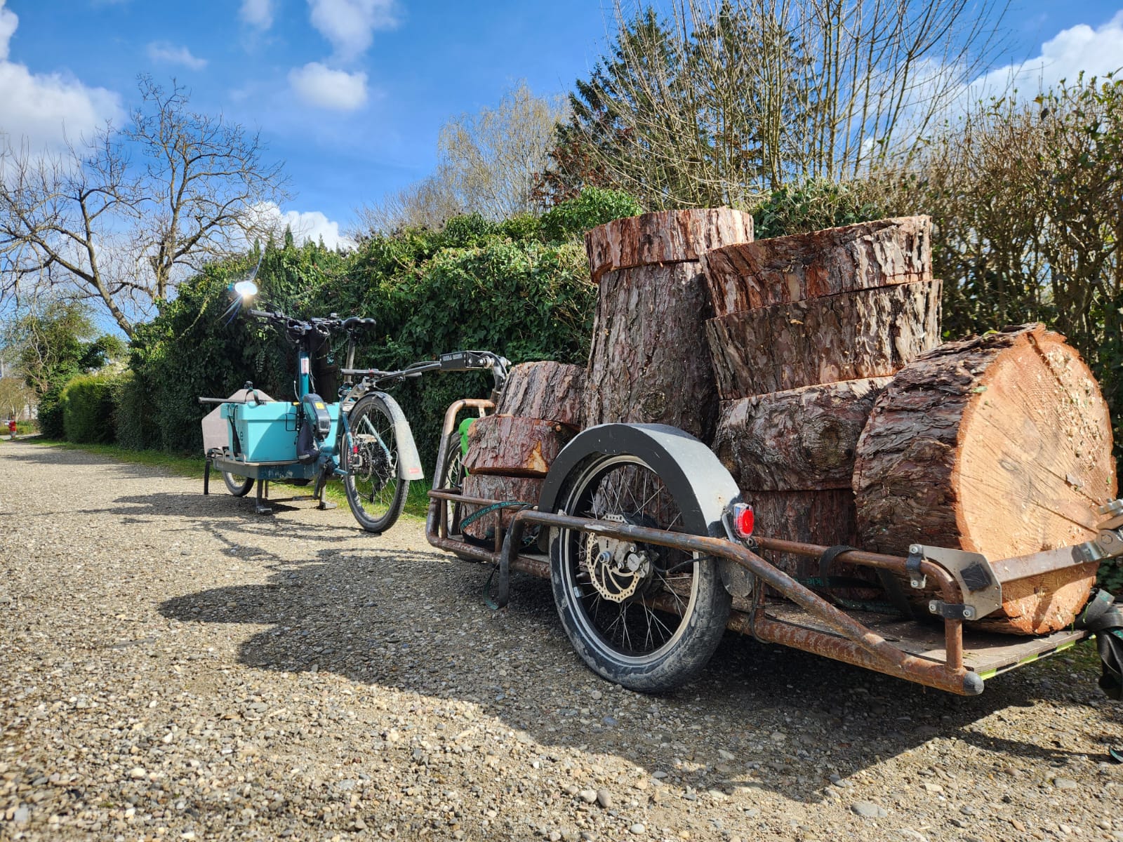 Cargobike mit schweren Baumstamm-Scheiben auf dem Anhänger
